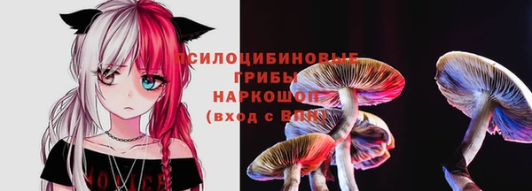МДМА Белокуриха