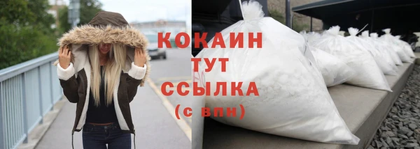 индика Балахна