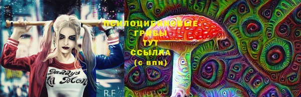 МДМА Белокуриха