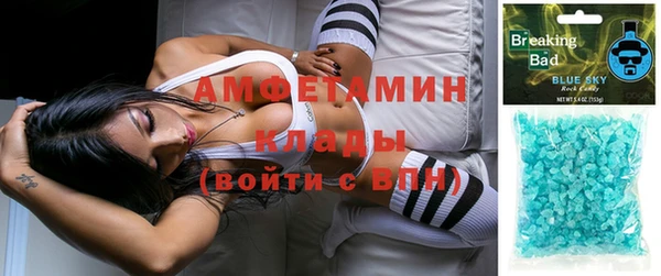индика Балахна