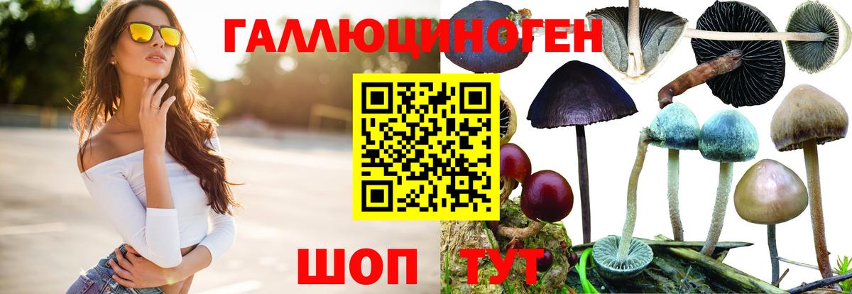 Псилоцибиновые грибы мухоморы  Вход с VPN  Великий Устюг  Галлюциногенные грибы Cubensis 